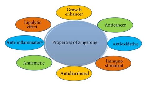 Chemical structure of zingerone. IUPAC name:... | Download Scientific ...