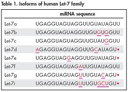 QIAGEN Solutions For Advancing MicroRNA Research