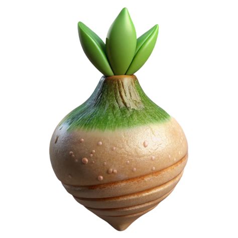 Stunning Rustic Plant Root Tip Close Up Transparent Background High