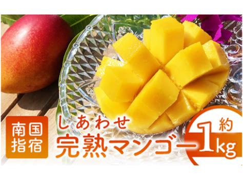 【ふるさと納税】鹿児島県指宿市のおすすめ返礼品5選 地元じゃないと食べられない食の詰め合わせがここに集結！ Appliv Topics