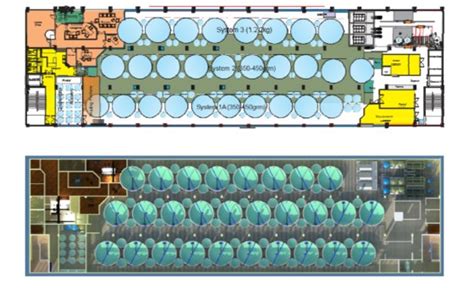 Seawater And Fresh Water Rasrecirculating Aquaculture System Fish