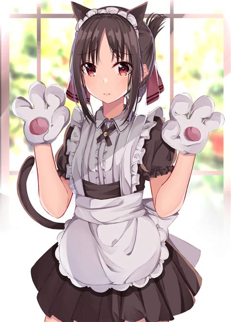 Kaguya Shinomiya In Neko Maid Shigurene Rkaguyasama