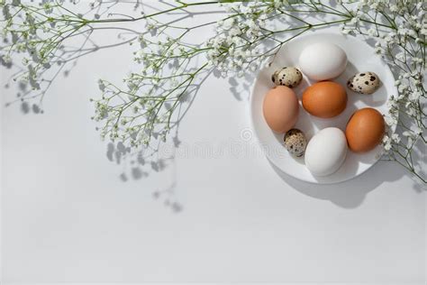 Minimalist Aesthetic Easter Design Flowers And Plate With Natural