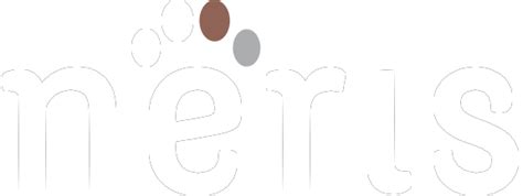 Agence Web And Digitale Sur Antibes Lyon Et Paris Neris