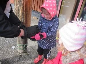 Cradle Mountain Tasmania turns on the snow