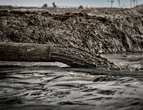 How Plants Can Help Clean Up Oilsands Tailing Ponds