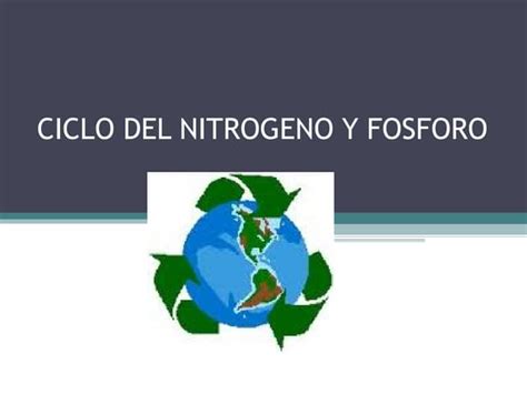 Clase Del Ciclo Del Nitrogeno Y Fosforo Ppt