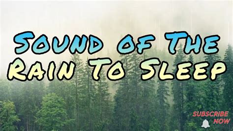 Sound Of The Rain To Deep Sleep Relaxing Sound Of Rainforest 2 Hour