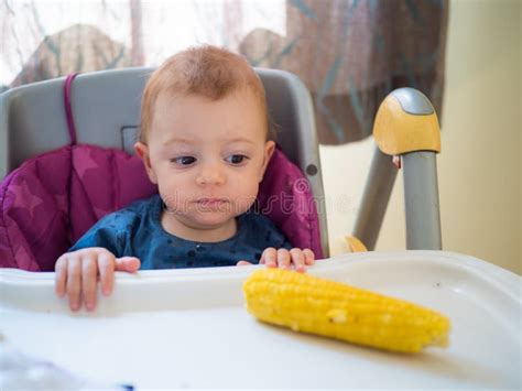 Baby Girl Eating Corn Stock Photo Image Of Funny Happiness 245619392