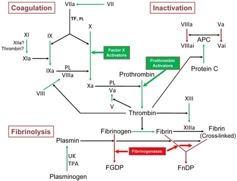 Metalloproteases Affecting Blood Coagulation Fibrinolysis And Platelet