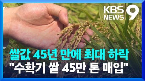 수확기 쌀 45만 톤 매입 “사상 최대”양곡관리법 상정 두곤 날선 ‘공방 Kbs 20220925 Youtube