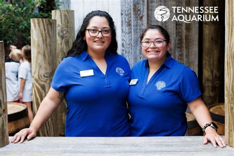 Top Places to Volunteer in Chattanooga and Give Back Locally