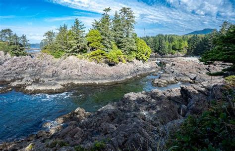 Wild Pacific Trail Lighthouse Loop, Ucluelet | Hike Bike Travel