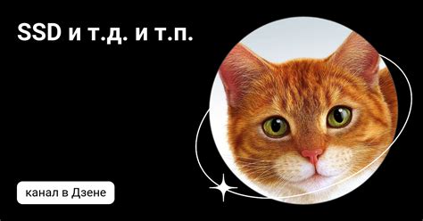 SSD и т.д. и т.п. | Дзен