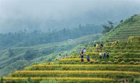 Trek Sapa Vietnam 2 jours Randonnée Sapa Vietnam Agence de voyage