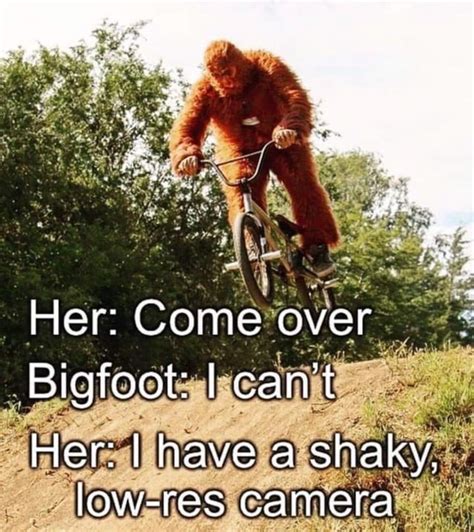 The Best Bigfoot Memes Memedroid