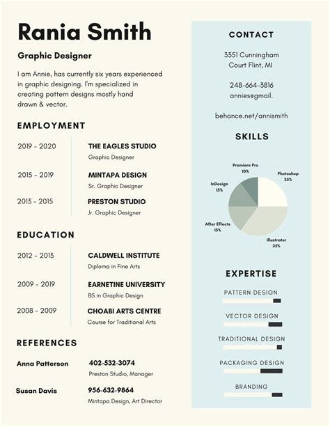 Infographic Resume For Programmer