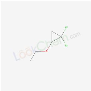 CAS No 7363 99 7 Cyclopropane 1 1 Dichloro 2 Ethoxy Synthetic Route