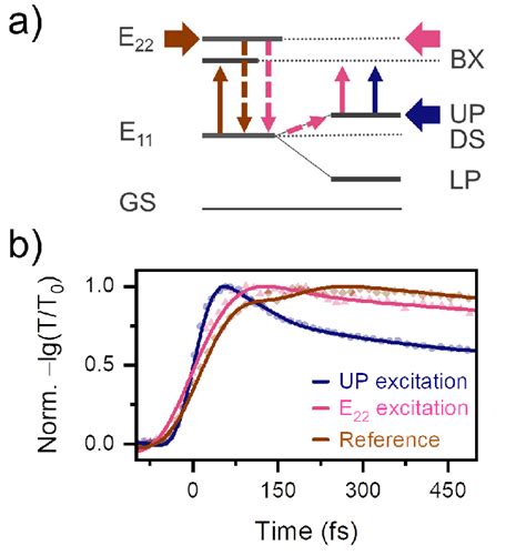 A Kinetic Model For Polariton Assisted Biexciton Transition By