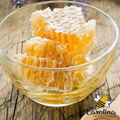 Can You Eat Honeycomb Is Honeycomb Edible Carolina Honeybees