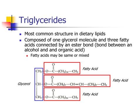 PPT - Lipid Structure and Function PowerPoint Presentation - ID:477478