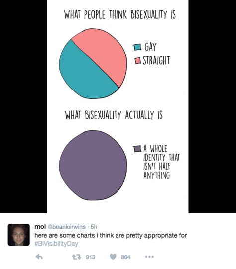 Chart Debunks A Myth About Bisexuality Attn