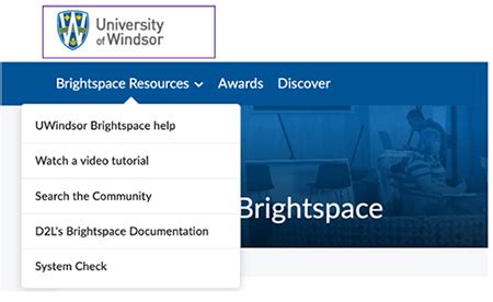 Navigating Brightspace A Students Guide To Success Teach Learn