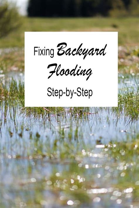 How To Fix Backyard Flooding To Keep Your Yard Looking Spiffy