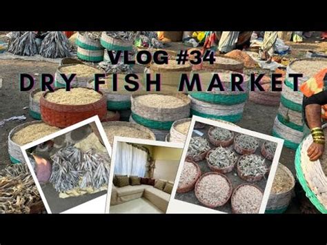 Vlog Dry Fish Market Virar Agashi Wholesale Fish Market