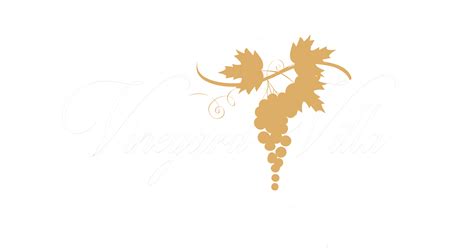 vineyard drawing