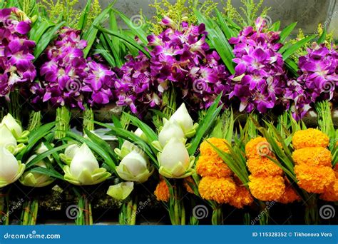 Fresh Flowers For Buddha Stock Photo Image Of Bloom 115328352