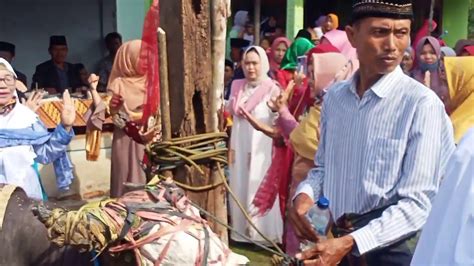 Bimbang Adat Bengkulu Selatan Gegerit Tari Andun Tari Bujang