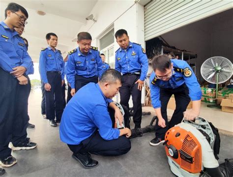 应急培训大练兵，筑牢森林防火“安全墙” 关注森林