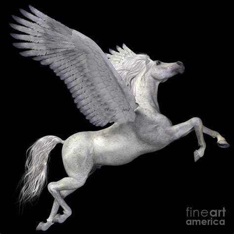 White Pegasus Profile Painting By Corey Ford