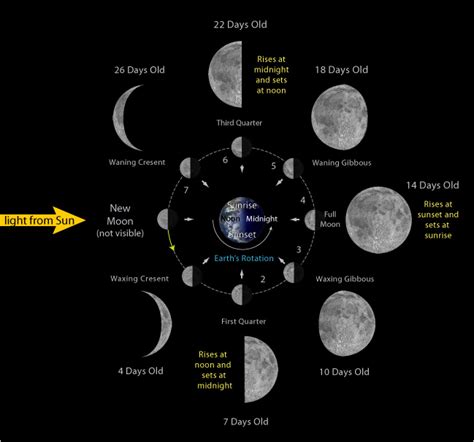 Lunar Cycle Questions And Answers 2024 Latest Ultimate Popular Famous ...