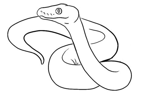 Python Snake Drawing