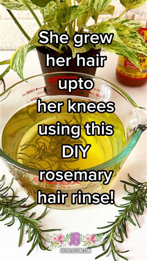 How To Make Rosemary Hair Rinse For Hair Growth Artofit