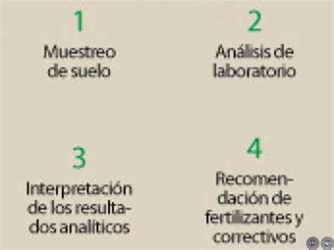 Portal Guaran Fertilizaci N Para El Cultivo De Soja En Siembra