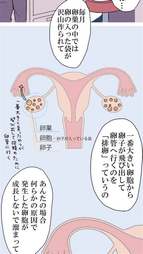 「今夜の妊活豆知識。 お金も時間もかかる不妊治療。 問題は仕事との両立ཀ`」 ∠ 注射や卵子の発育状況チ」駒井千紘妊活夫婦