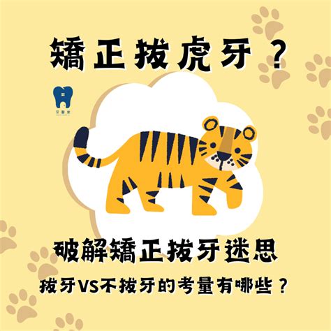 矯正拔虎牙？破解矯正拔牙迷思，拔牙 Vs 不拔牙的考量有哪些？ 矯正 牙科知識 牙醫家