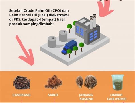 Daur Ulang Limbah Kelapa Sawit Dalam Produksi Cpo Beranda Riset