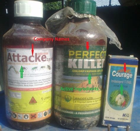 Insecticide Resistance How To Use Insecticides Correctly Farmersjoint Blog