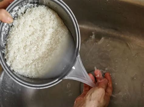 Agua De Arroz Para Plantas Prepara El Mejor Fertilizante Natural