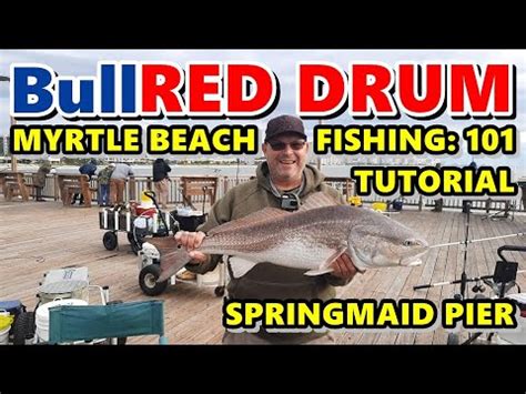 Ultimate Guide To Fall Bull Red Drum Fishing Off The Springmaid Pier