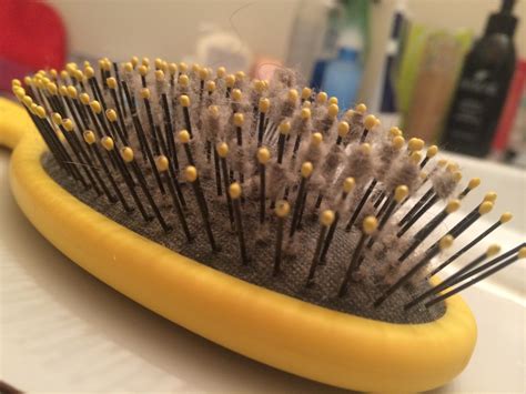 How To Clean A Hairbrush Lint Very Easy Method