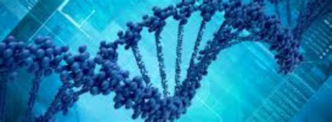 The Actual Science Behind Human Sex Chromosomes Spoiler Theres More Than Just XX And XY