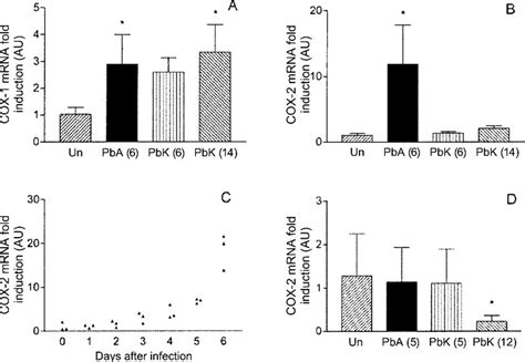 Expression Of Cyclooxygenase Cox Mrna A And Cox Mrna B In