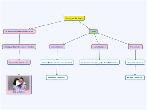 Mapa Mental Sindrome De Down Brainstack The Best Porn Website