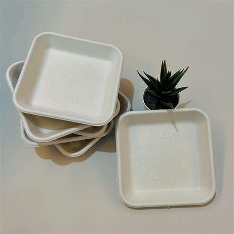 Disposable Biodegradable Take Away Bagasse Tableware Square Plate