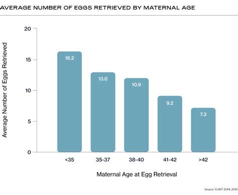 Your Guide To Understanding The Ivf Funnel And Success Rates